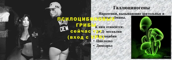 СК Беломорск