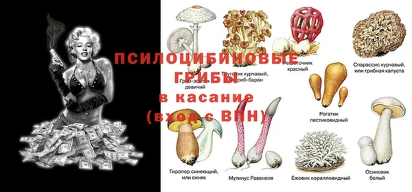 MDMA Белокуриха