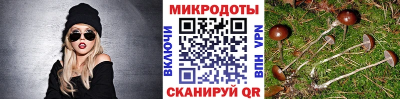 купить наркотики сайты  ОМГ ОМГ   Псилоцибиновые грибы прущие грибы  Горнозаводск 